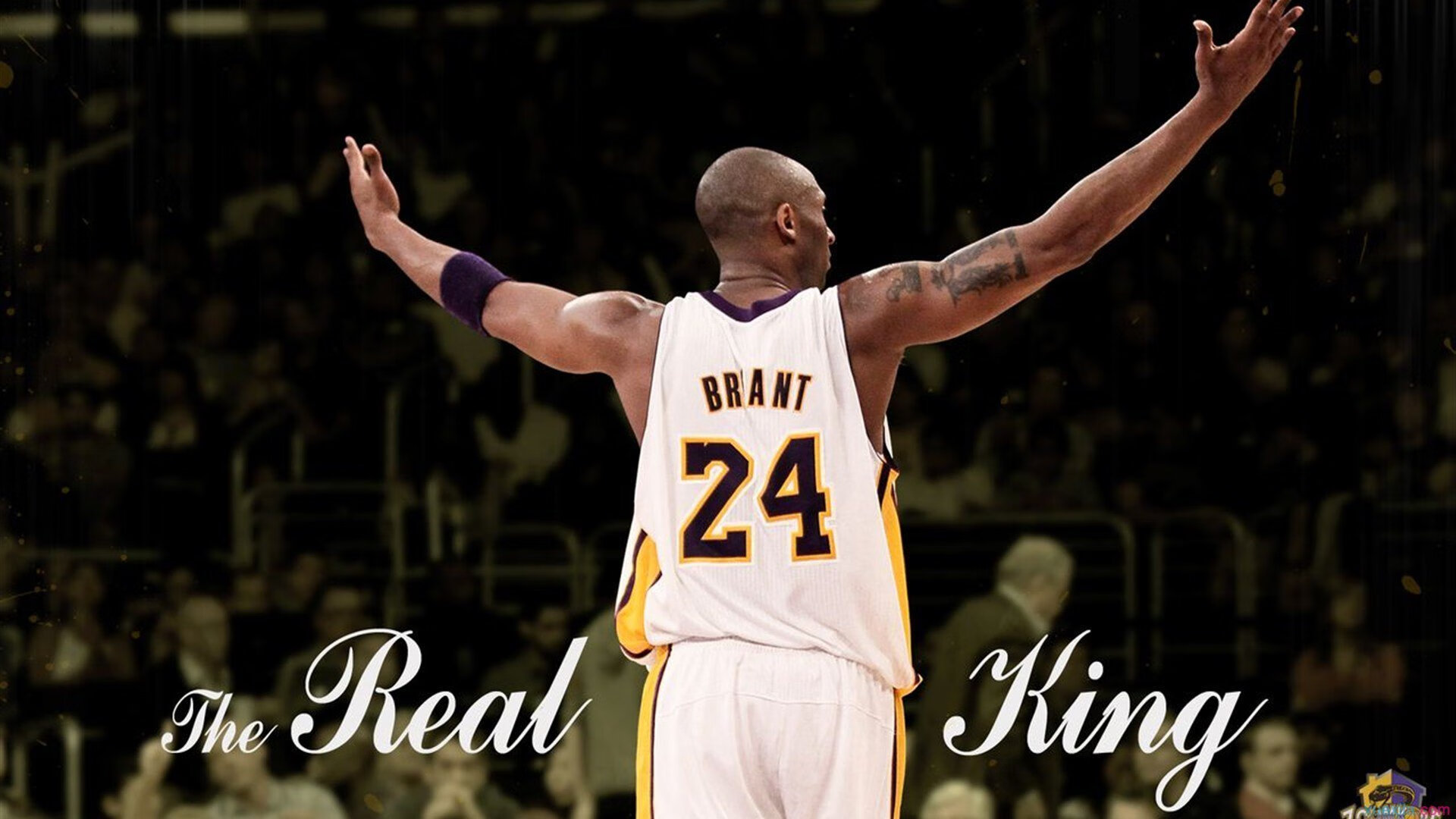 kering.com-公牛球队拍摄公益宣传片关注城市环保，公牛队官方网站